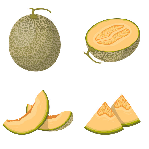 cantaloupe