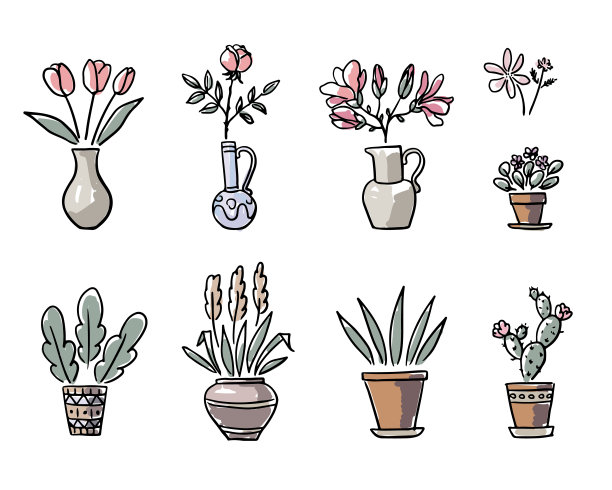 植物花瓶花卉插画