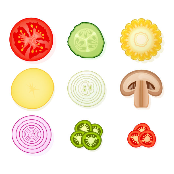矢量土豆插画