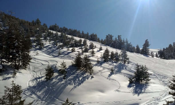 滑雪背景