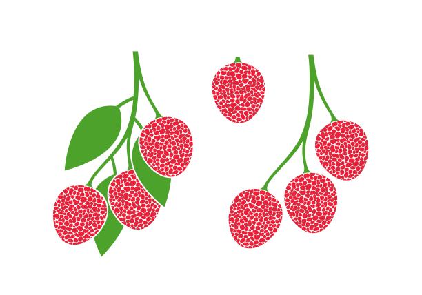 荔枝插画