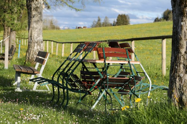 草坪上的椅子
