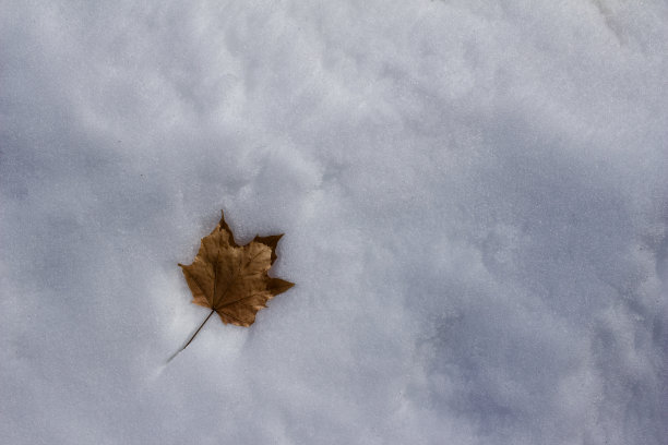 秋分霜降小雪冬大寒