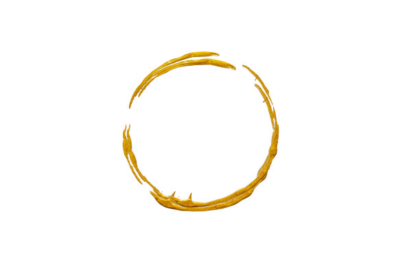 黄字logo