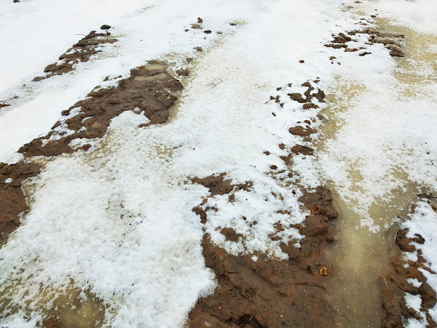 积雪覆盖草坪