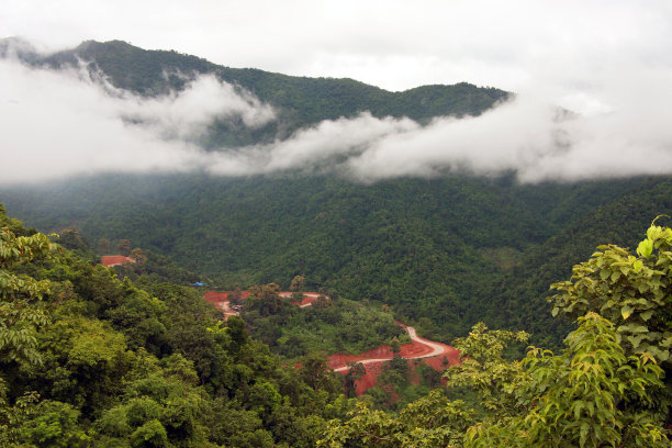 山间树林