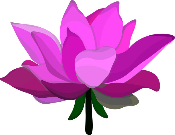 植物花瓣logo