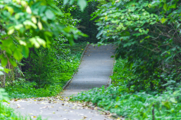 林间小道