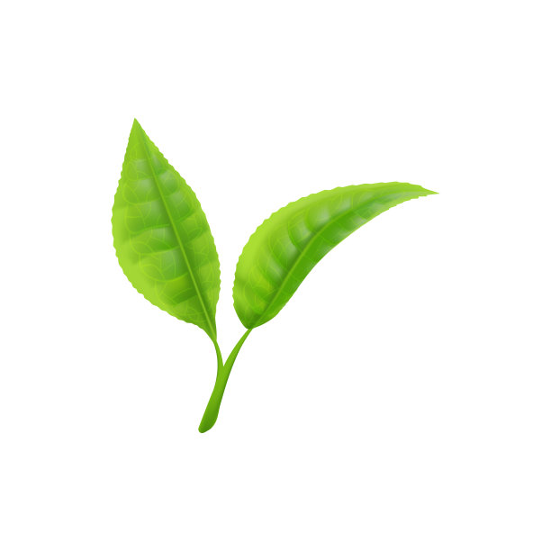 茶,紧迫,茶叶