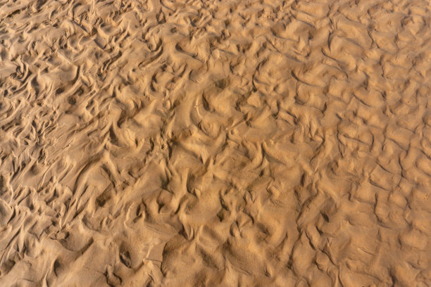 浪与砂
