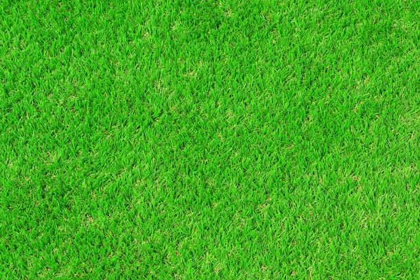 草地绿植绿色草皮贴图