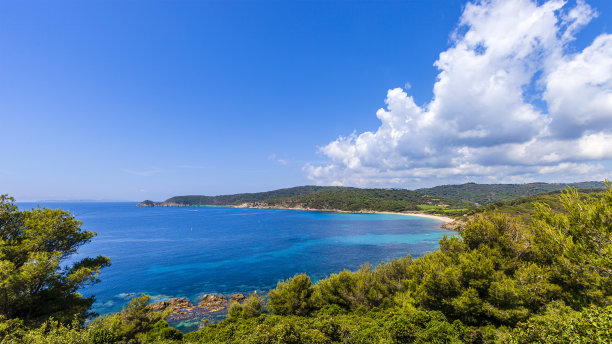 树林水景