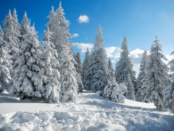snowfall