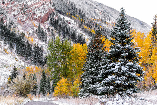 aspen