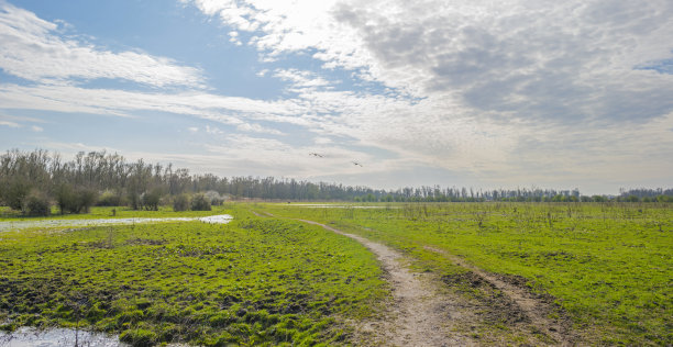 田园湿地景观设计
