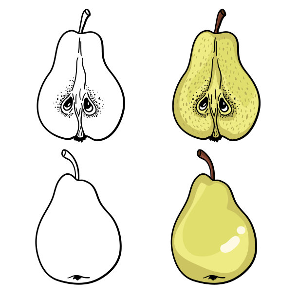 苹果插画