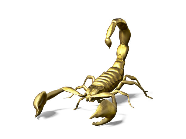 无脊椎动物标志