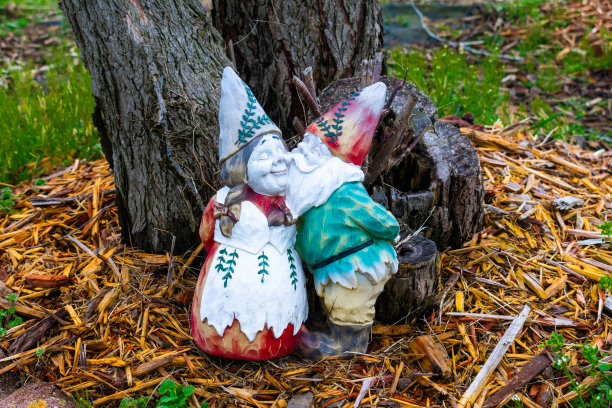 gnome