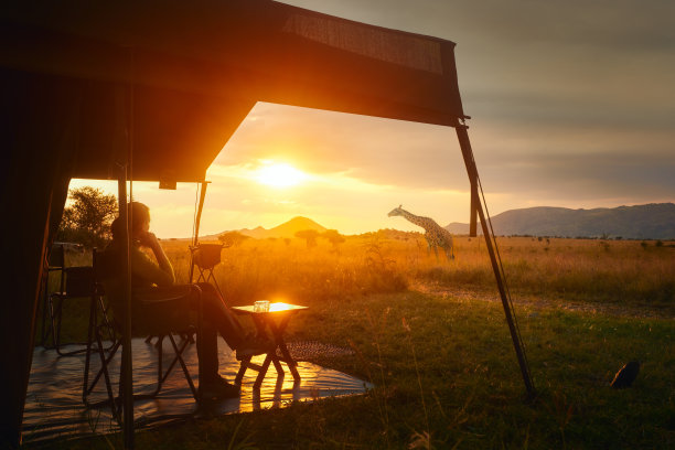 serengeti