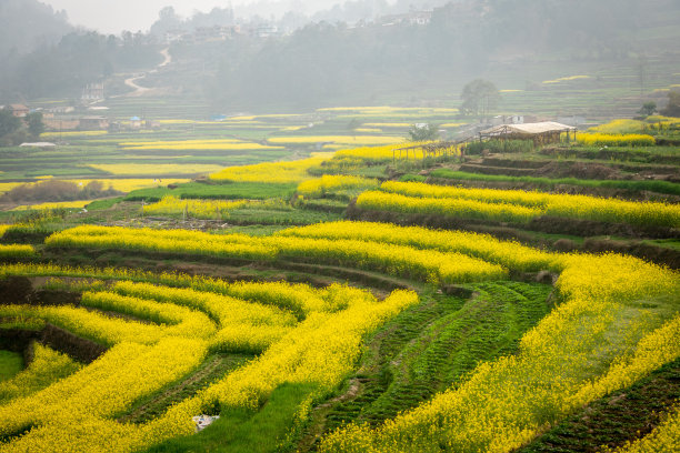 尼加拉瓜风景图