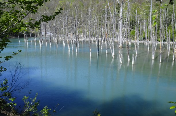 fen