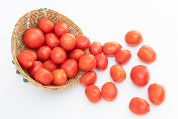 红色西红柿水果