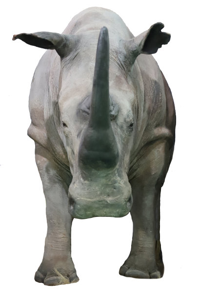 horned