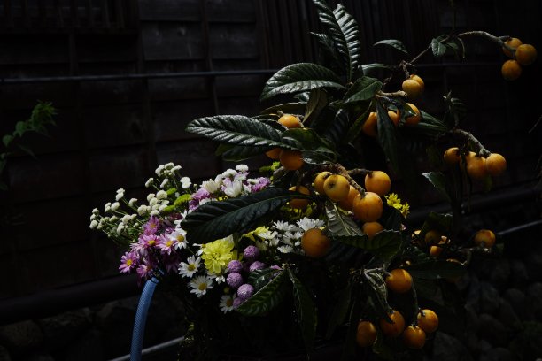 花束与水果