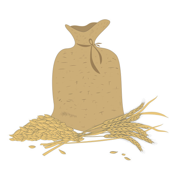 养生小麦包