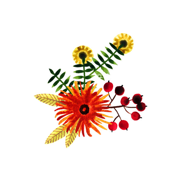 水彩植物花卉花束图案