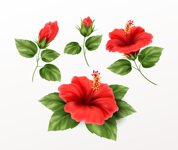 红色中式花艺