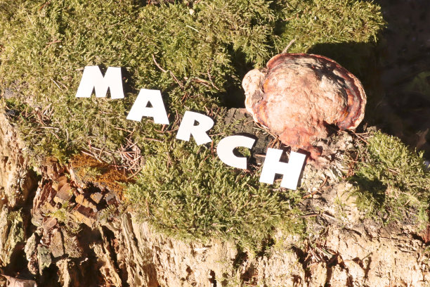march