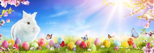 复活节兔子,卵,田园风光