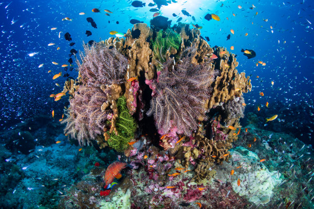 similan岛