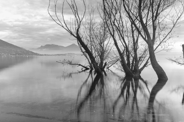 湖景黑白照片