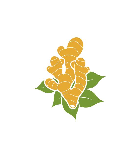 中药材logo