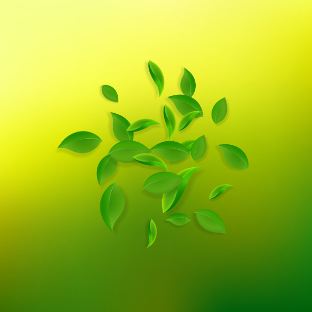 黄绿藻