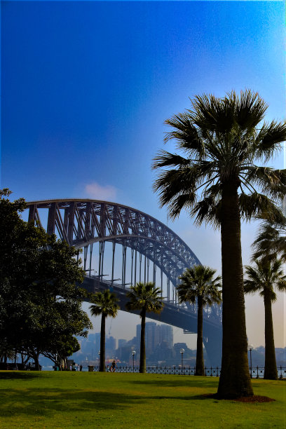 悉尼湾海景