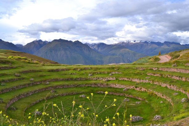 moray
