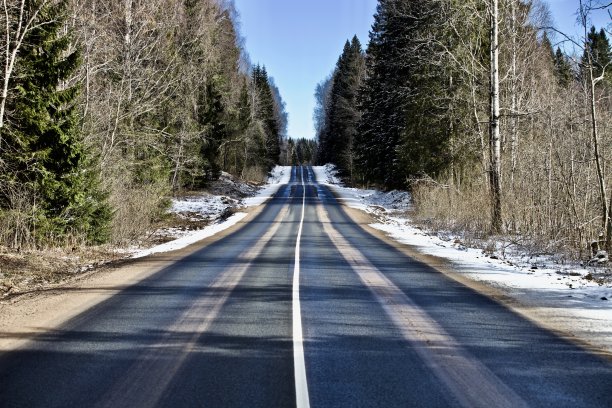 林荫道景观大道公路