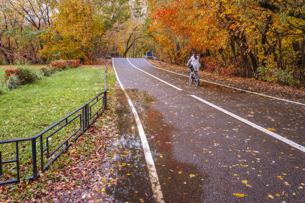 秋天的自行车道