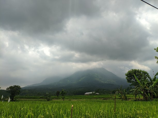 景观生态学