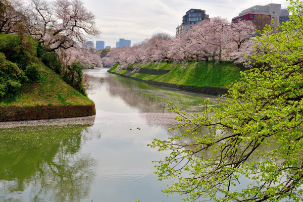 护城河水系