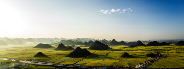 乡间花海美景