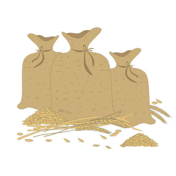 养生小麦包