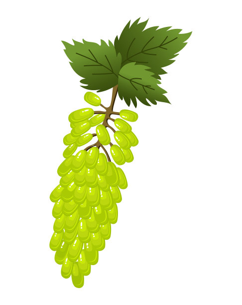 绿色水果logo