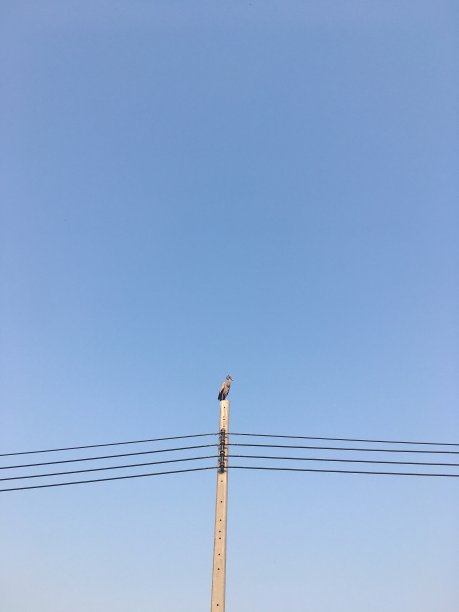 蓝天下的电线杆