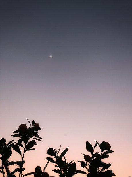 mooning