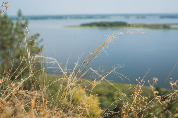 户外蓝天白云草地树林图片