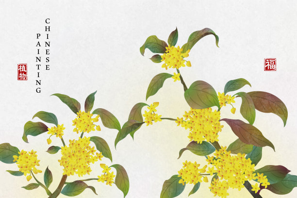 fragrans